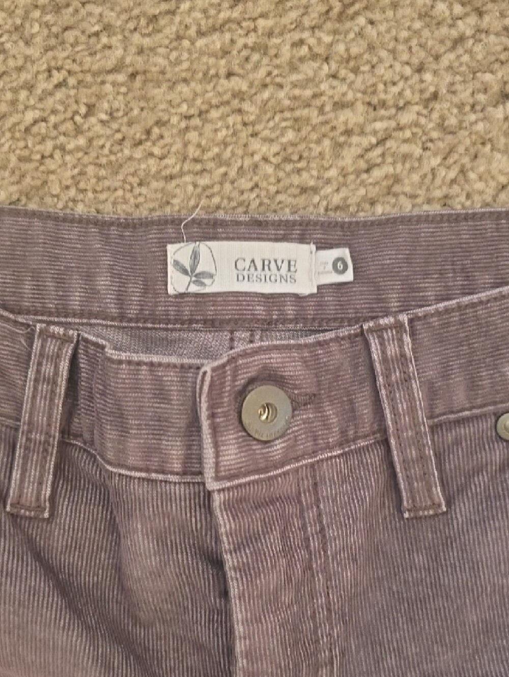 Carve Designs Plum Dogtown Shorts - Picture 3 of 4